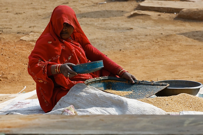 Sur la route d'Orchha-009